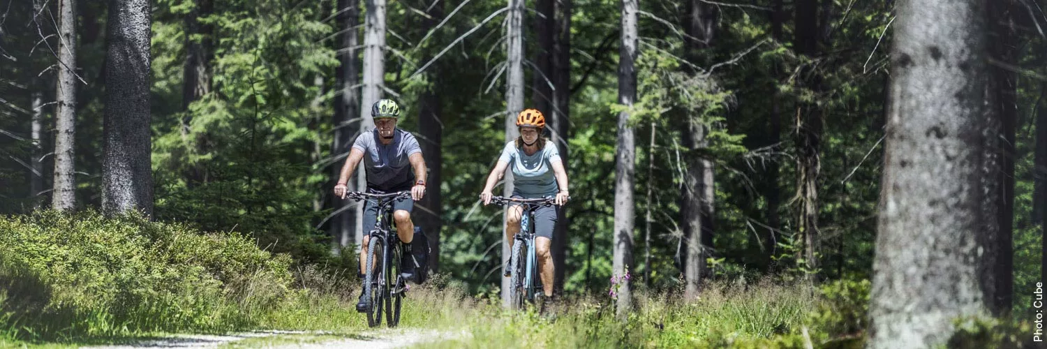 SWISSSTOP Verkäufe -SWISSSTOP Verkäufe 645241 trekkingrad damen 1